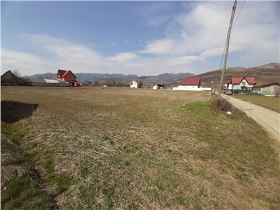 Teren de vanzare  - Ighiu 1000 mp,apa,gaz,curent,canalizare, 38000 euro