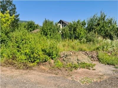 Teren 450mp alba -Micesti,strada Sliven