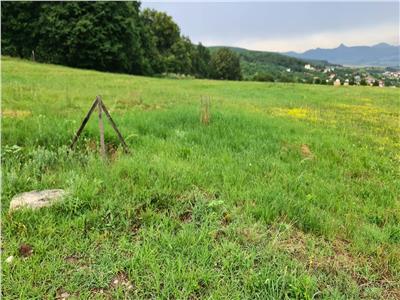 Teren cu panorama Zona Alba Micesti 528 mp,47000 euro
