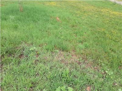 teren zona Orizont,750 mp, 45000 euro