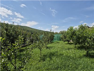Teren Ampoita, 582  mp, 35000 euro