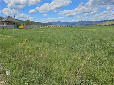 Teren 1500 mp zona Orizont-Barabant 75000 euro negociabil